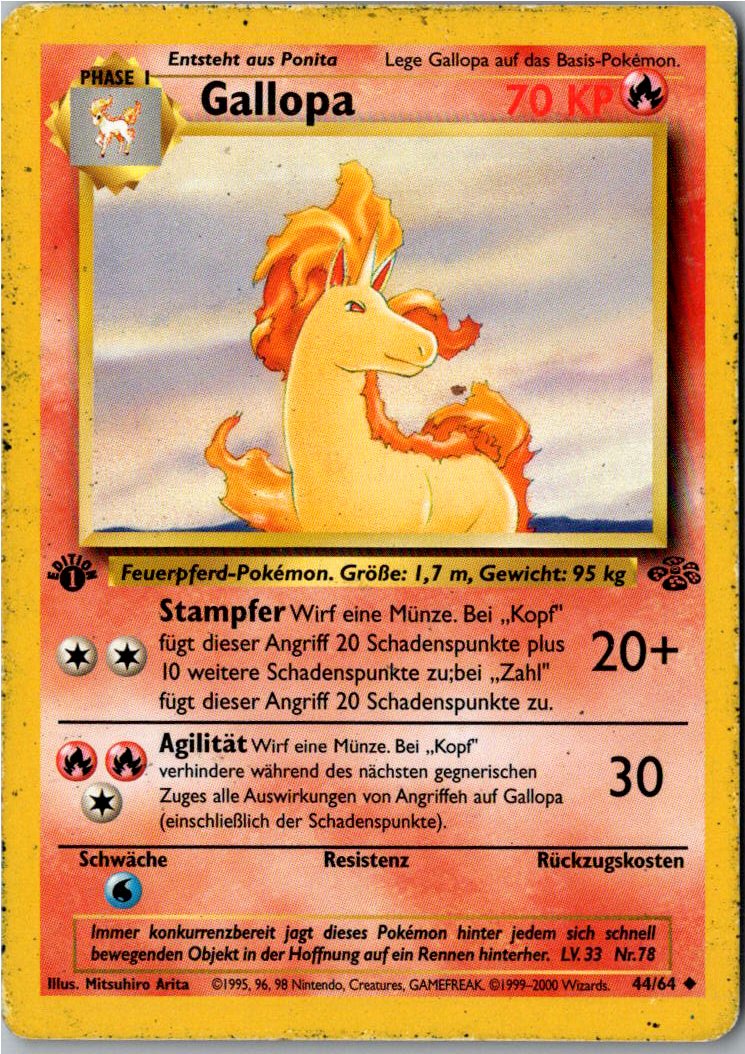 Gallopa 44/64 Dschungel – Vorderseite