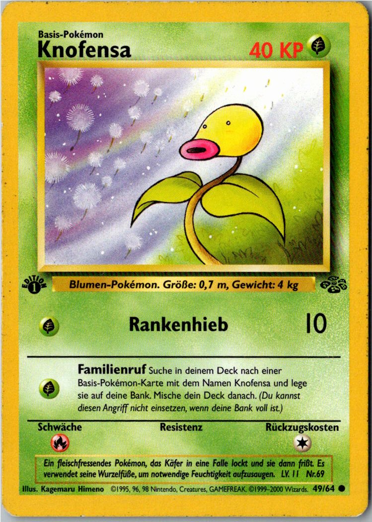 Knofensa 49/64 Dschungel – Vorderseite