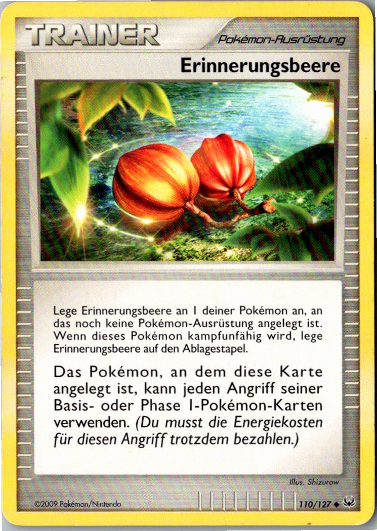 Erinnerungsbeere 110/127 Platin – Vorderseite