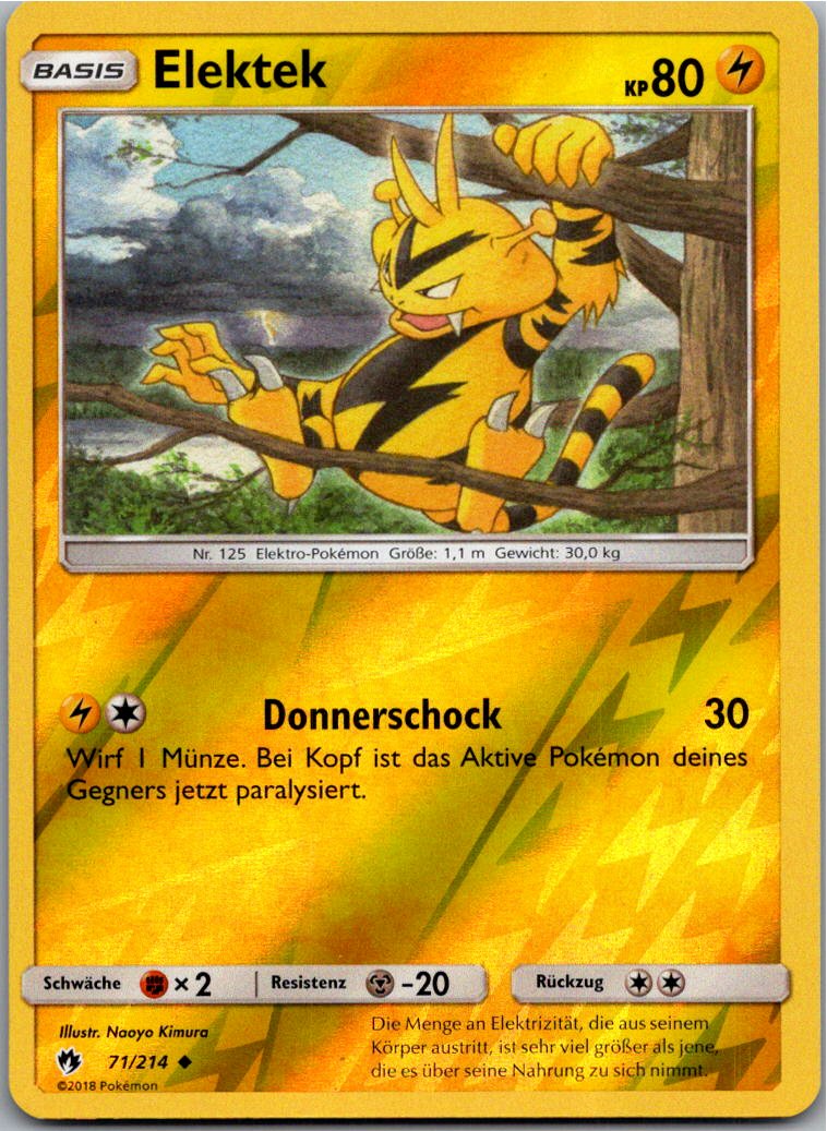 Elektek 71/214 Echo des Donners – Vorderseite