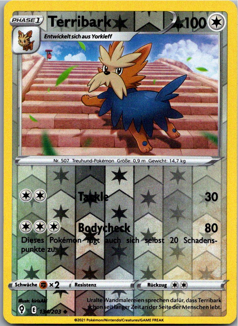 Terribark 134/203 Drachenwandel – Vorderseite