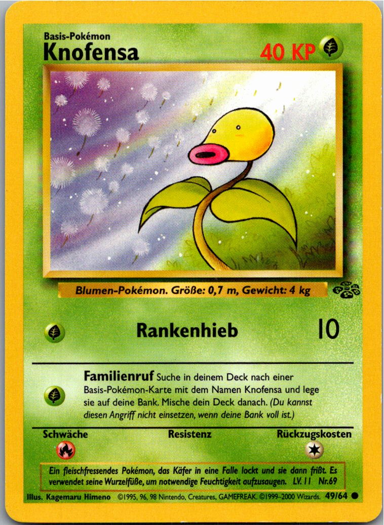 Knofensa 49/64 Dschungel – Vorderseite