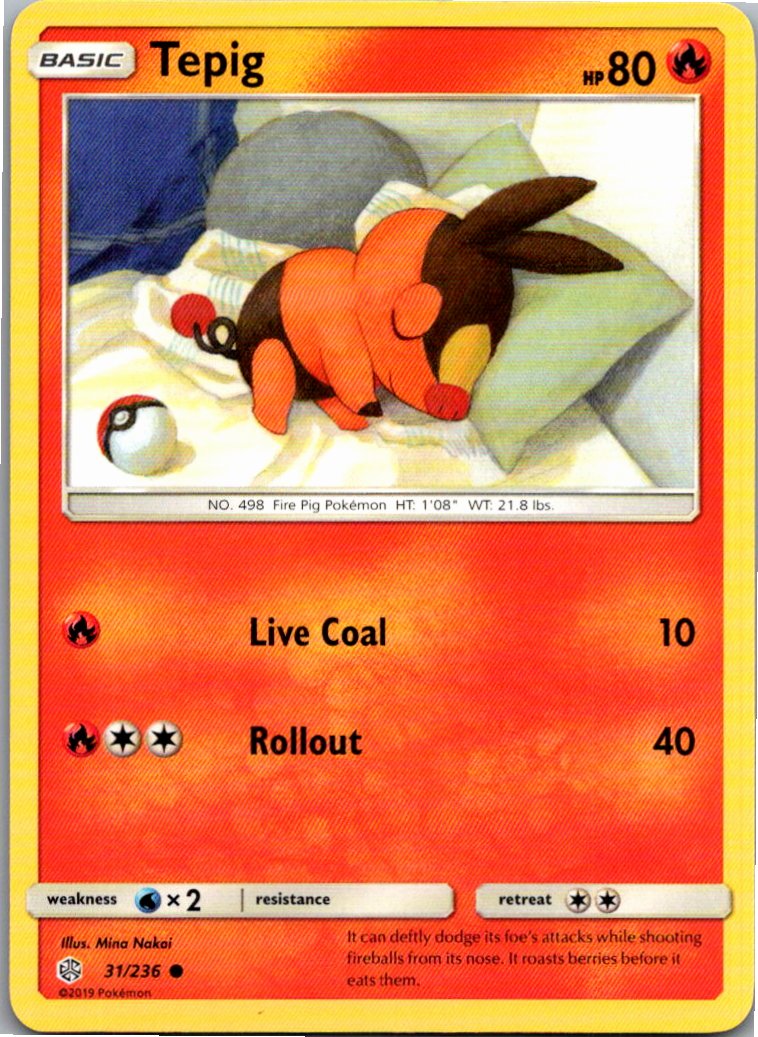 Tepig Floink 31/236 Welten im Wandel – Vorderseite