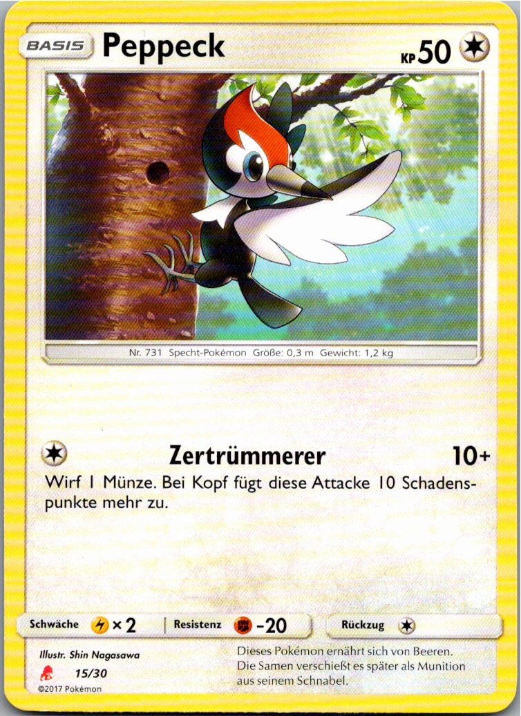 Peppeck 15/30 SM trainer Kit (Lycanroc) – Vorderseite