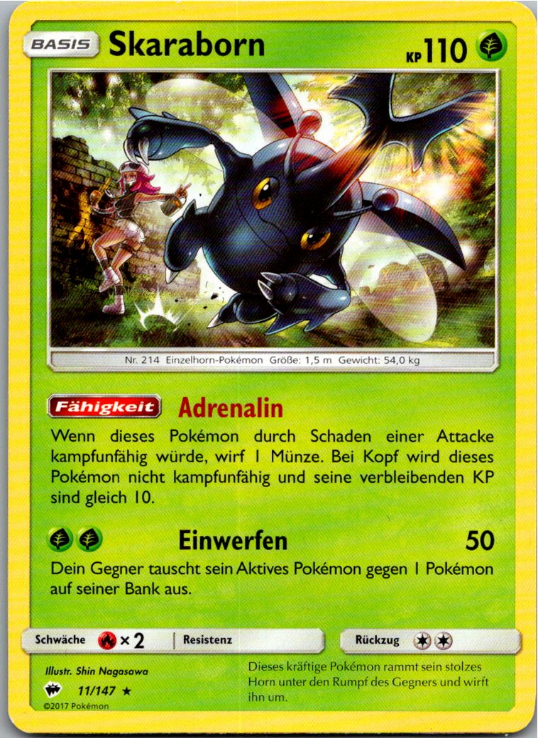 Skaraborn 11/147 Nacht in Flammen – Vorderseite