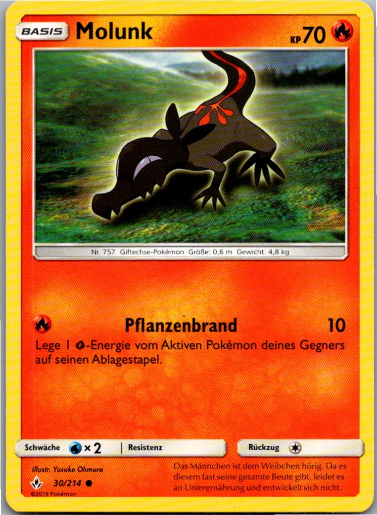 Molunk 30/214 Kräfte im Einklang – Vorderseite