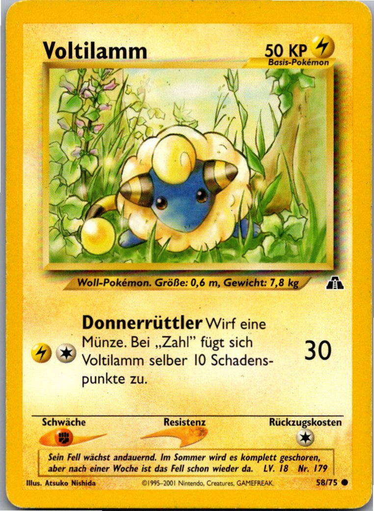 Voltilamm 58/75 Neo Entdeckung – Vorderseite