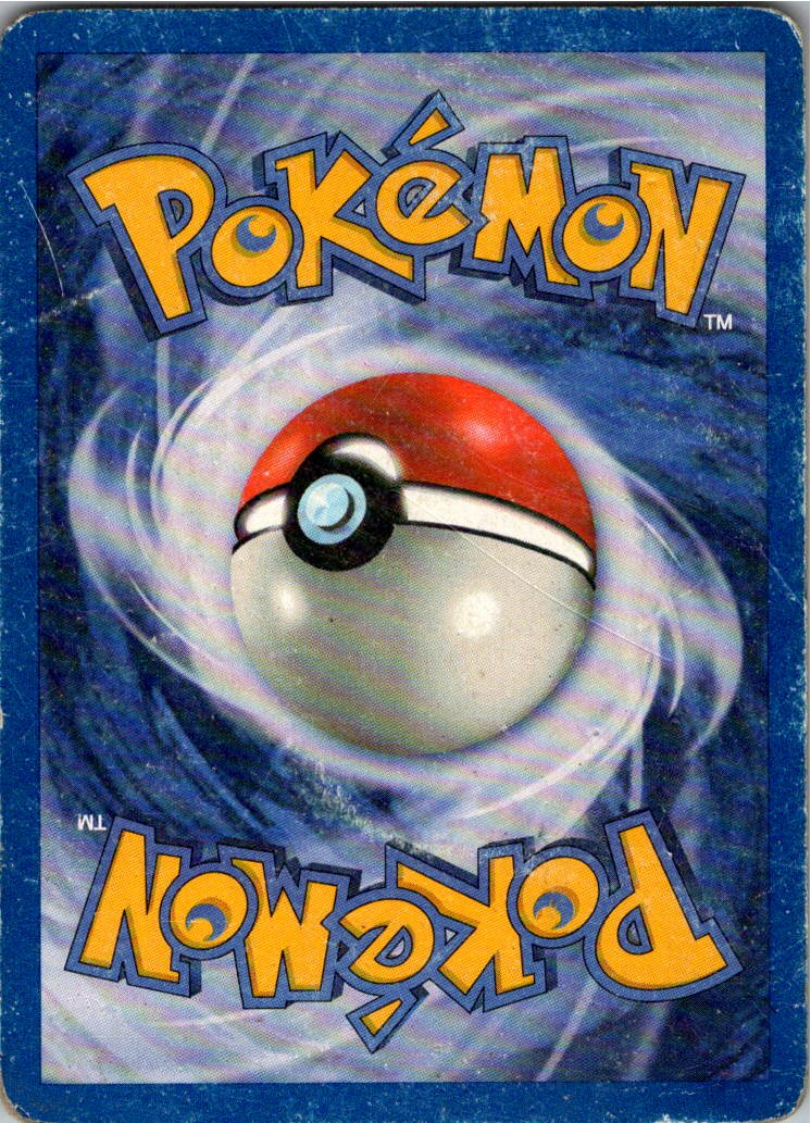 Rihorn 61/64 Dschungel – Rückseite