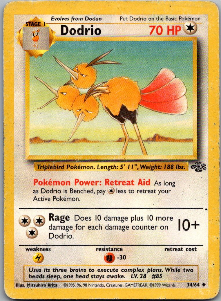 Dodrio Dodri 34/64 Dschungel – Vorderseite