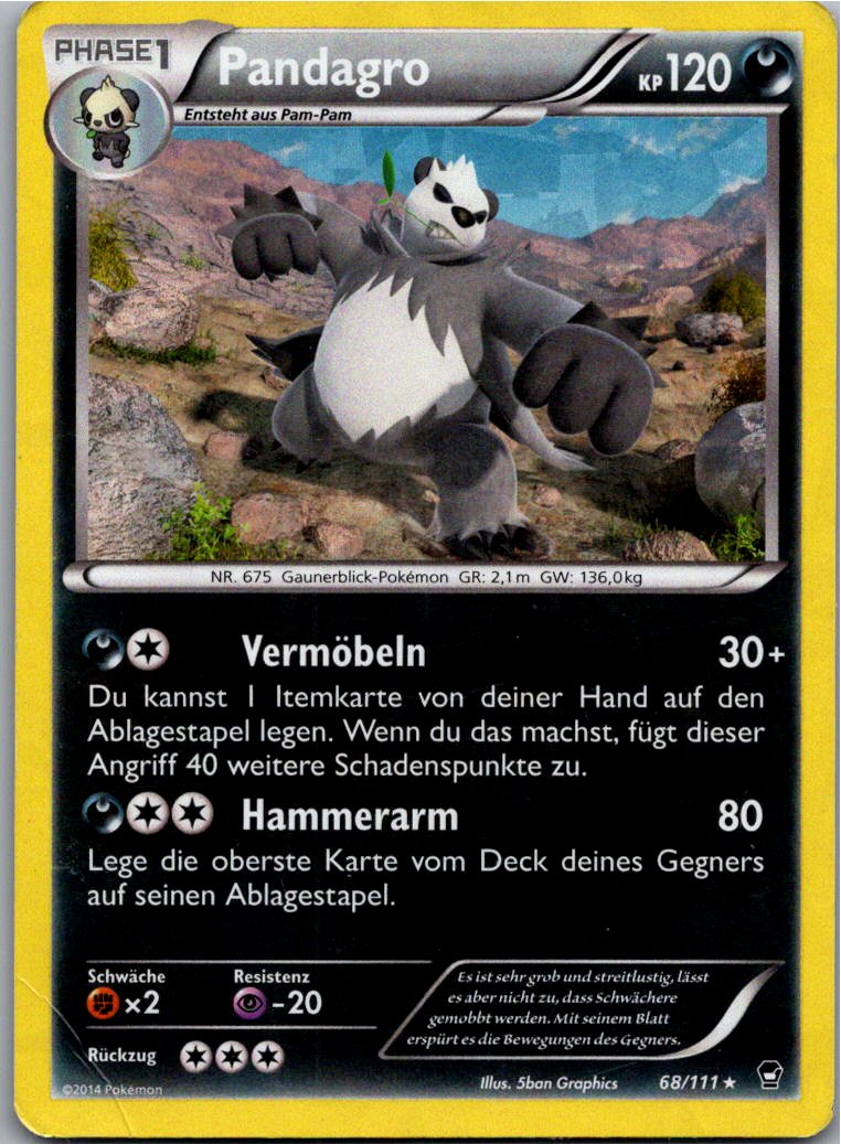 Pandagro 68/111 Fliegende Fäuste – Vorderseite