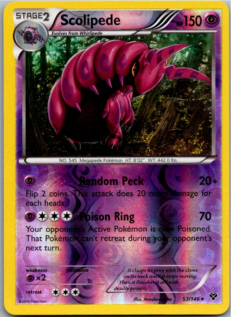 Scolipede Cerapendra 53/146 XY – Vorderseite
