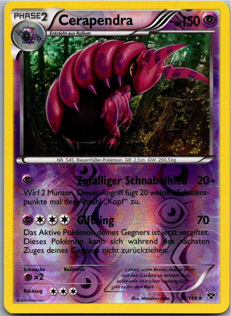 Cerapendra 53/146 XY – Vorderseite