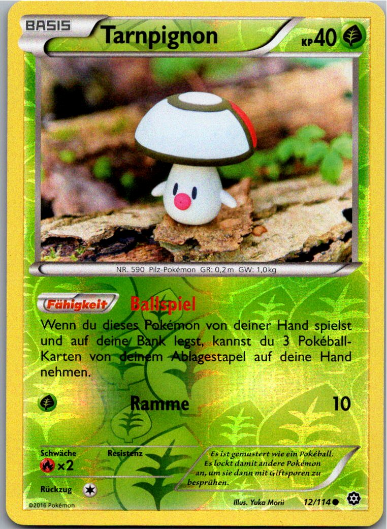Tarnpignon 12/114 Dampfkessel – Vorderseite