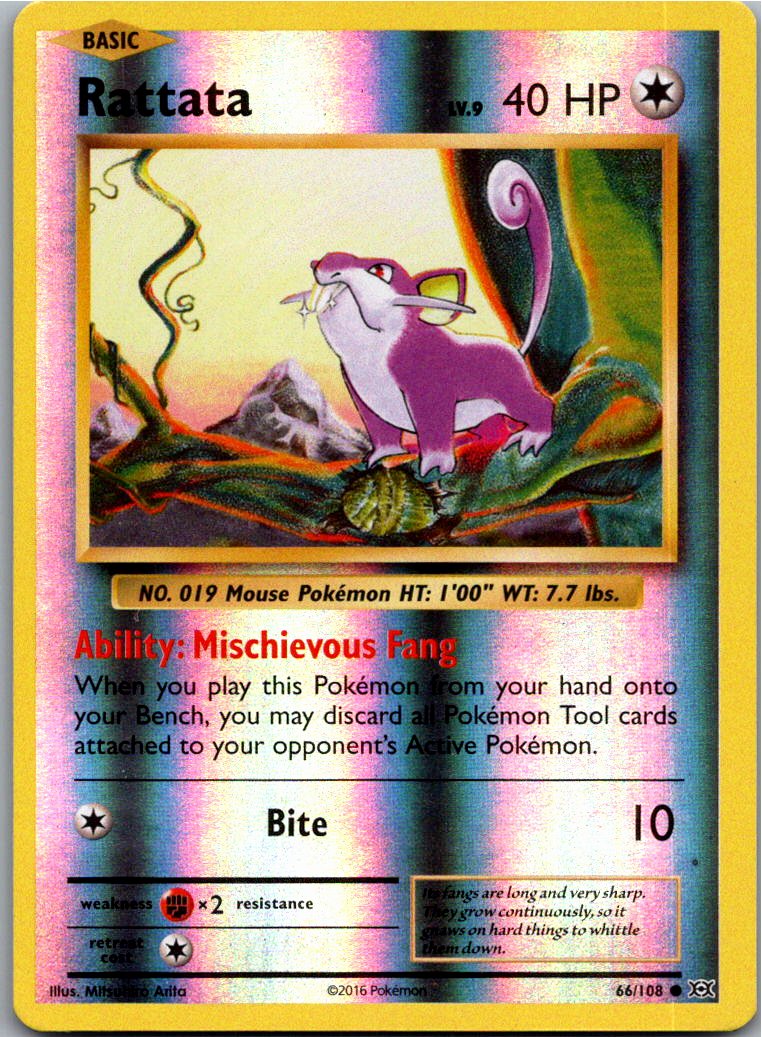 Rattata Rattfratz 66/108 Evolution – Vorderseite