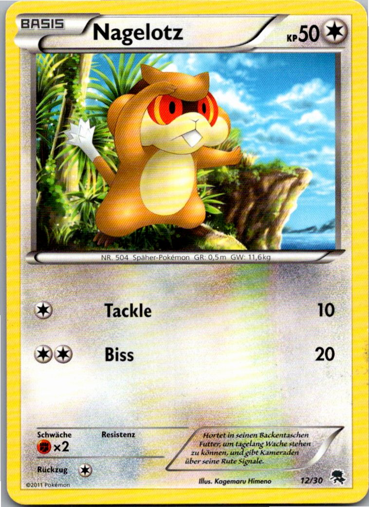Nagelotz 12/30 BW trainer Kit (Zoroark) – Vorderseite