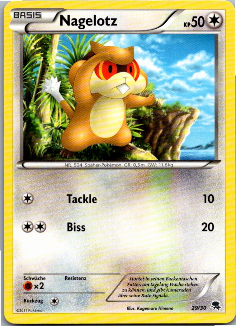 Nagelotz 29/30 BW trainer Kit (Zoroark) – Vorderseite