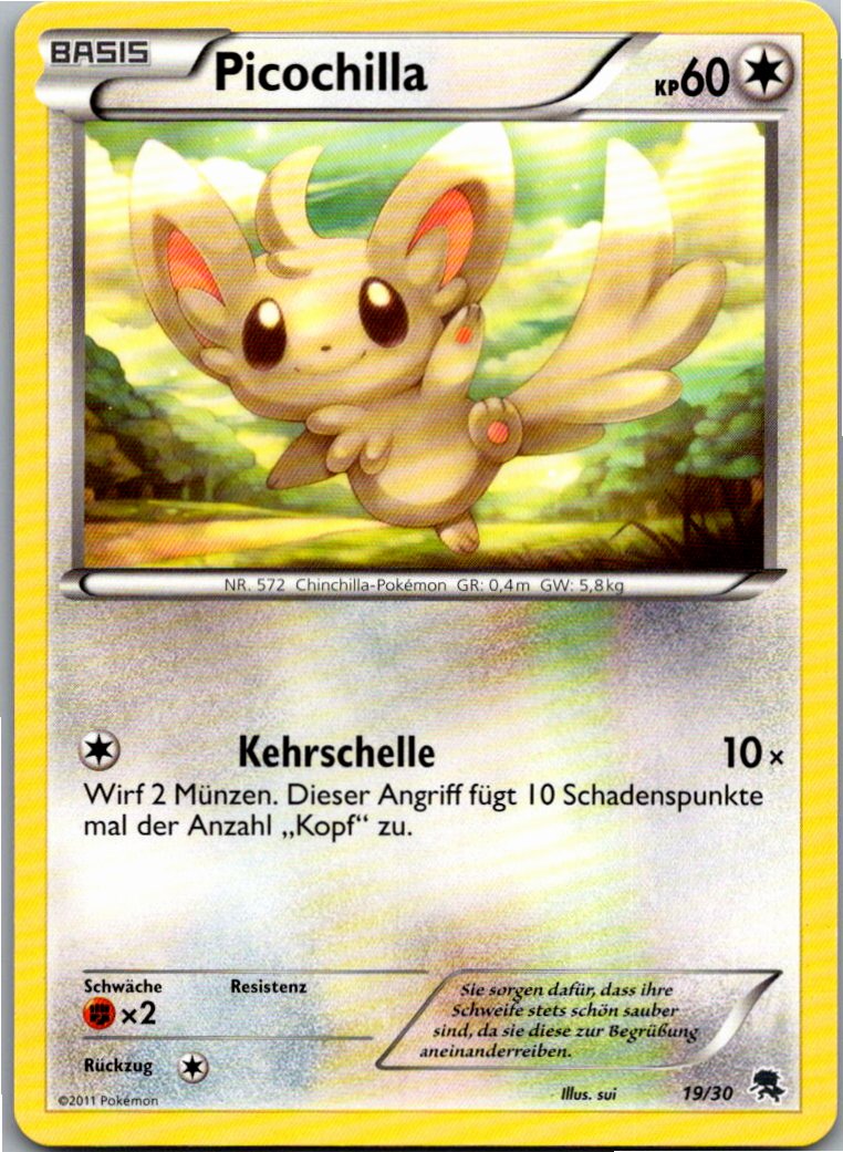 Picochilla 19/30 BW trainer Kit (Zoroark) – Vorderseite