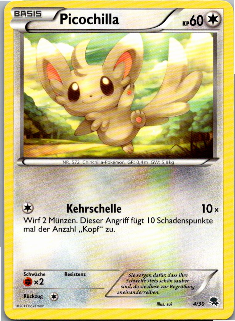 Picochilla 4/30 BW trainer Kit (Zoroark) – Vorderseite