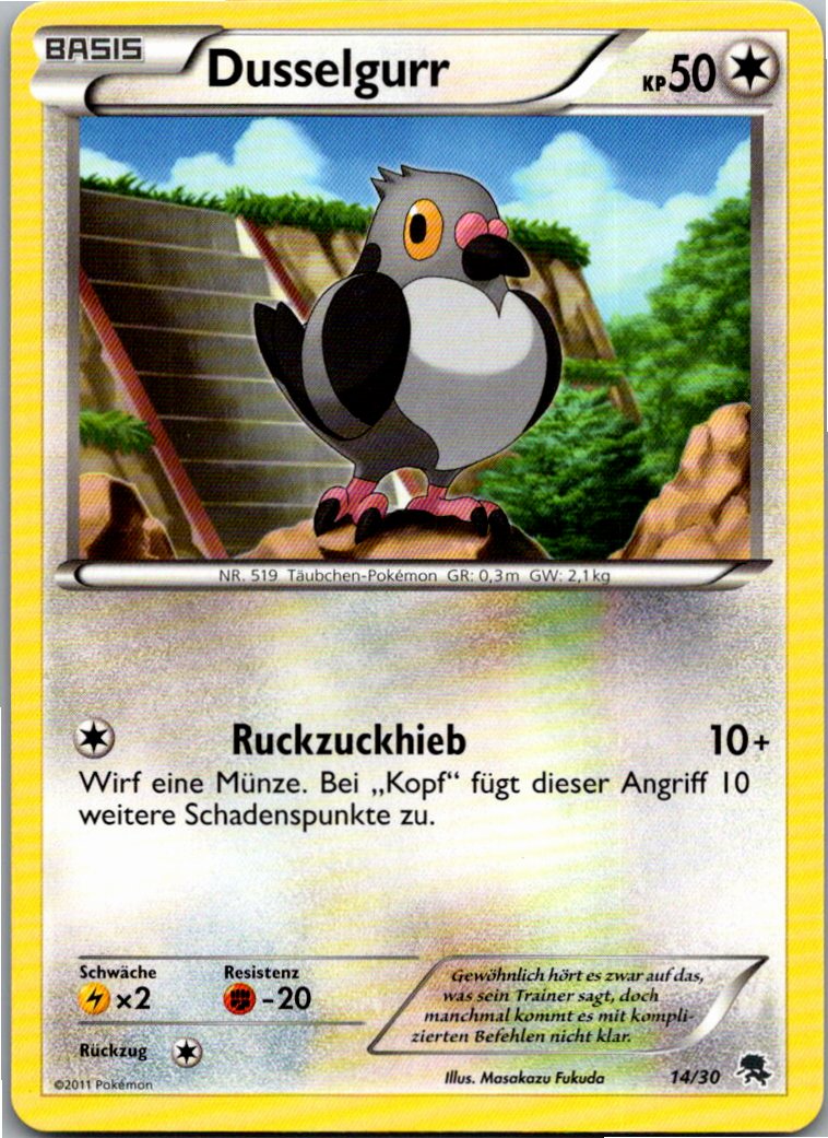 Dusselgurr 14/30 BW trainer Kit (Zoroark) – Vorderseite