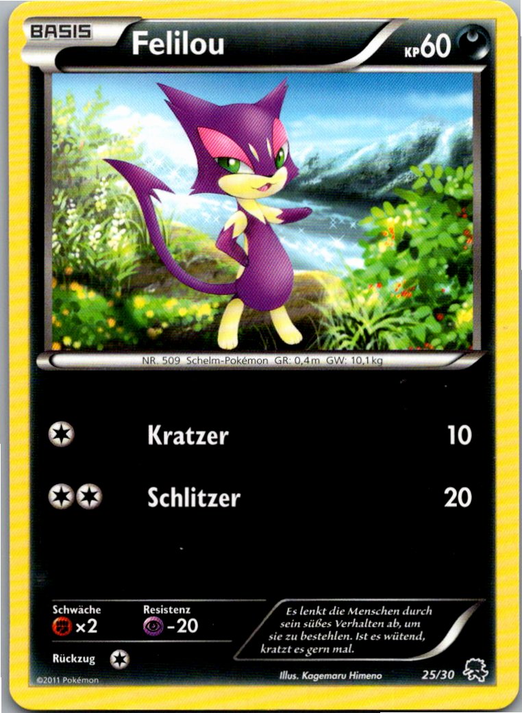 Felilou 25/30 BW trainer Kit (Zoroark) – Vorderseite