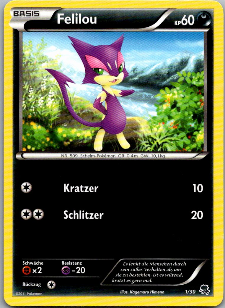 Felilou 1/30 BW trainer Kit (Zoroark) – Vorderseite