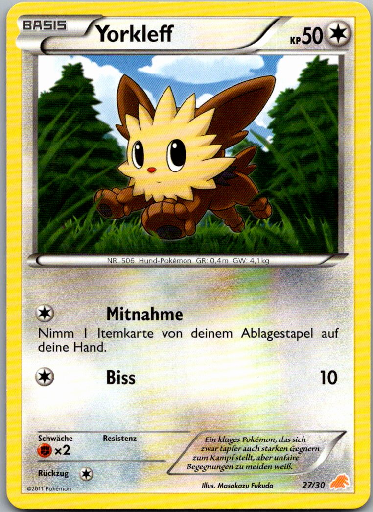Yorkleff 27/30 BW trainer Kit (Excadrill) – Vorderseite