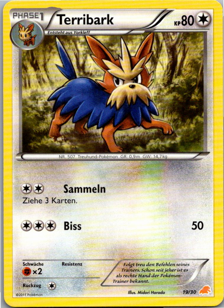 Terribark 19/30 BW trainer Kit (Excadrill) – Vorderseite