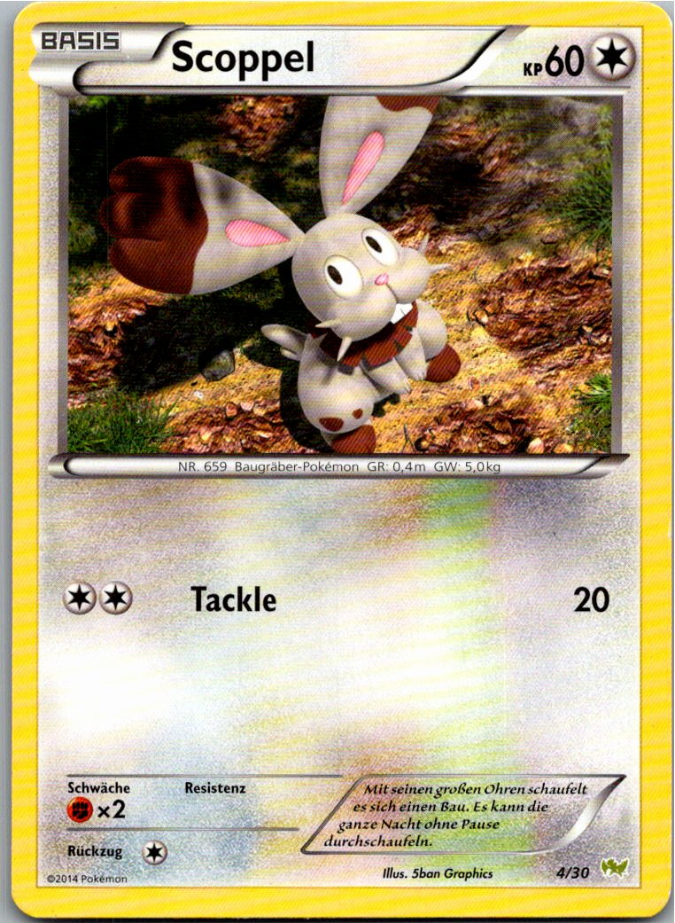 Scoppel 4/30 XY trainer Kit (Noivern) – Vorderseite