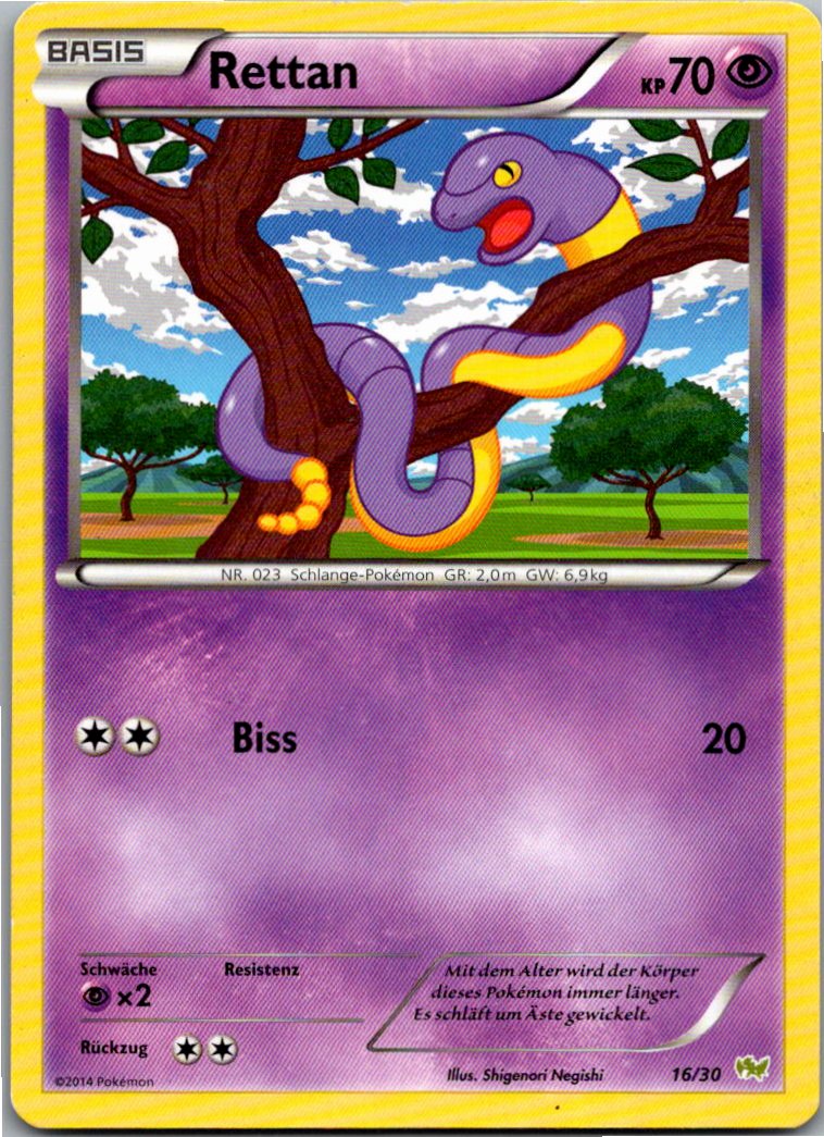 Rettan 16/30 XY trainer Kit (Noivern) – Vorderseite