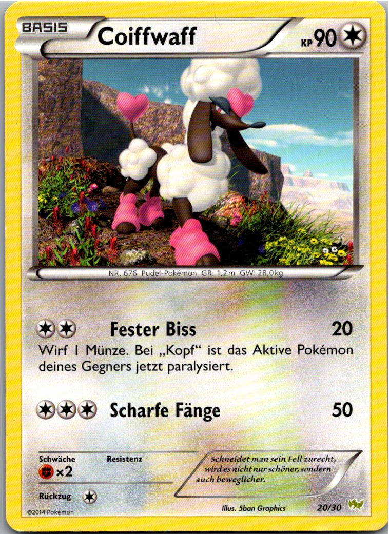 Coiffwaff 20/30 XY trainer Kit (Noivern) – Vorderseite