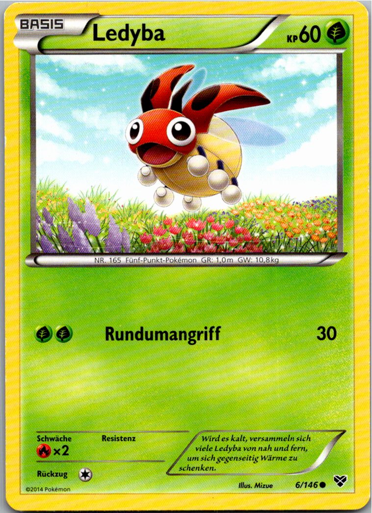 Ledyba 6/146 XY – Vorderseite