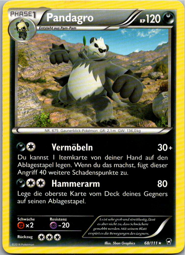 Pandagro 68/111 Fliegende Fäuste – Vorderseite