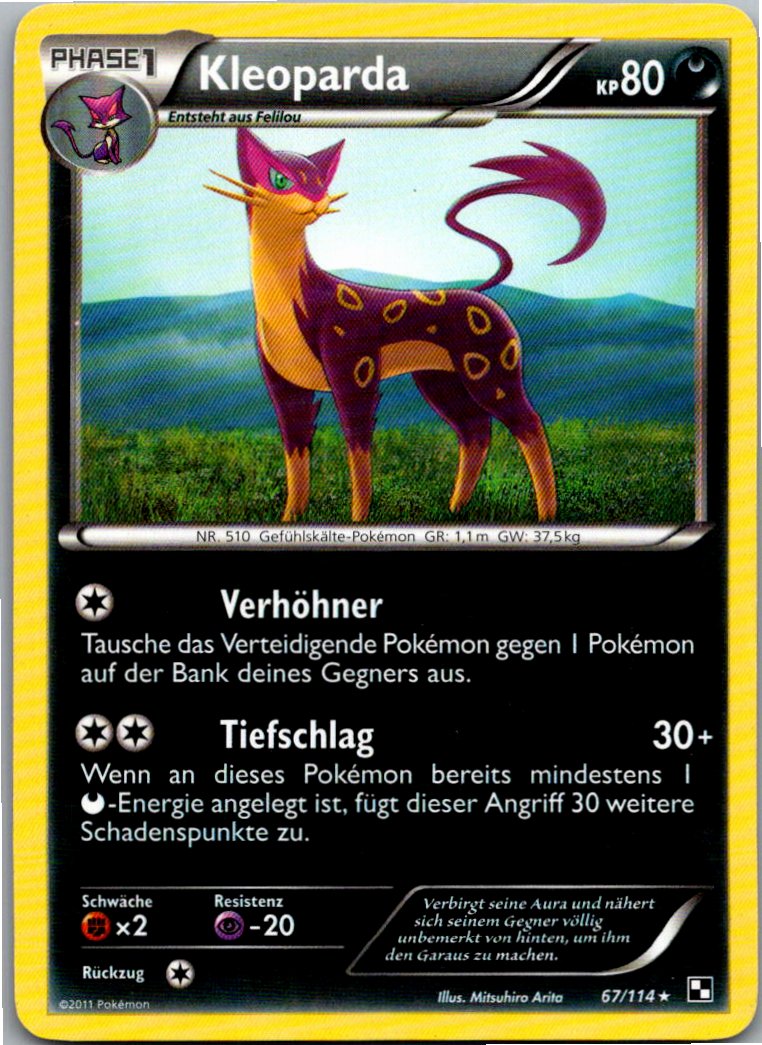 Kleoparda 67/114 Schwarz & Weiß – Vorderseite