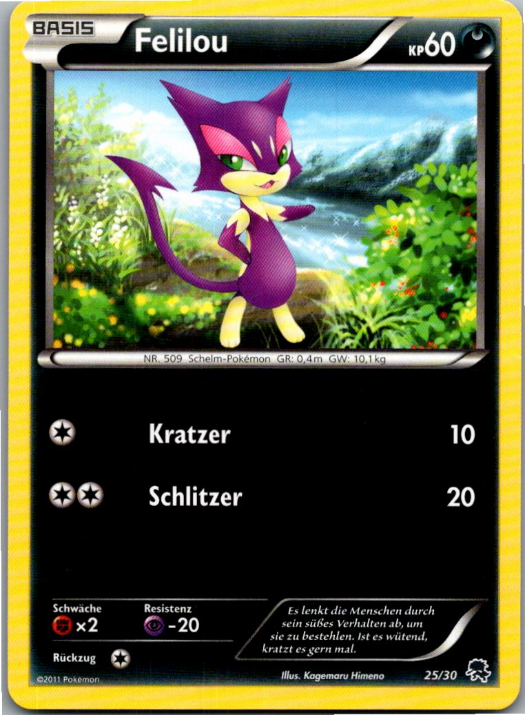 Felilou 1/30 BW trainer Kit (Zoroark) – Vorderseite