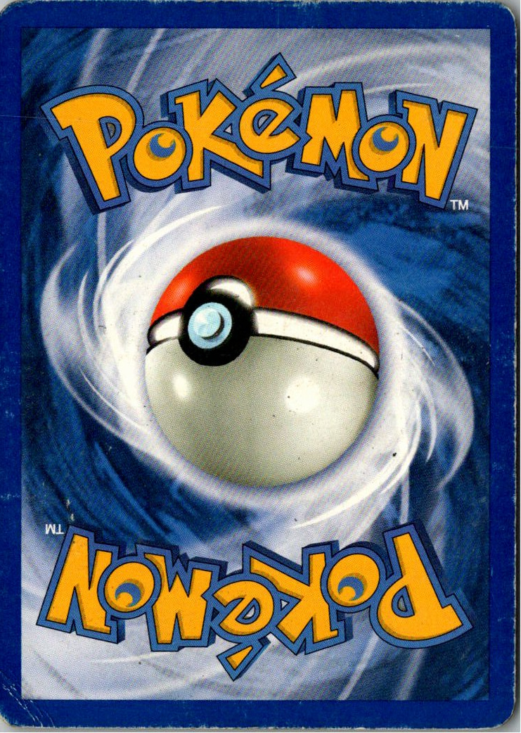 Brock's Graveler 34/132 Gym Challenge – Rückseite