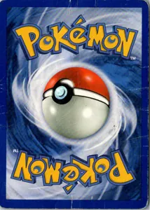 Bayleef 29/111 Neo Genesis – Rückseite